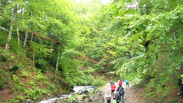 Karpaty4